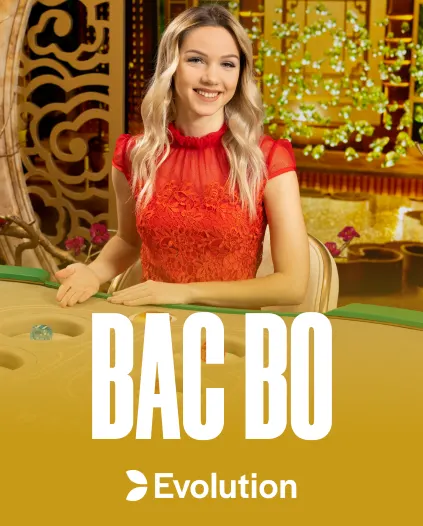 Casea Casino Roulette